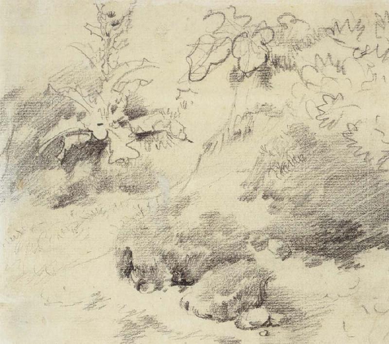 Thomas Gainsborough Study for a Foreground,a Bank with Weeds and Thistles Sweden oil painting art